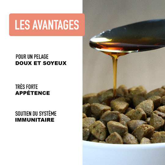 Huile de saumon pour chien et chat peau et pelage Atavik – Atavik – DOG DéliCAT