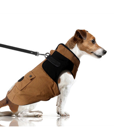 détail boucles titane imperméable-harnais chien camel