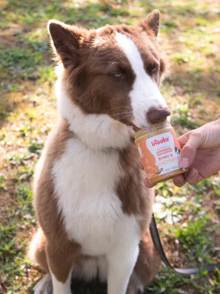 Beurre de cacahuète pour chien - Citrouille