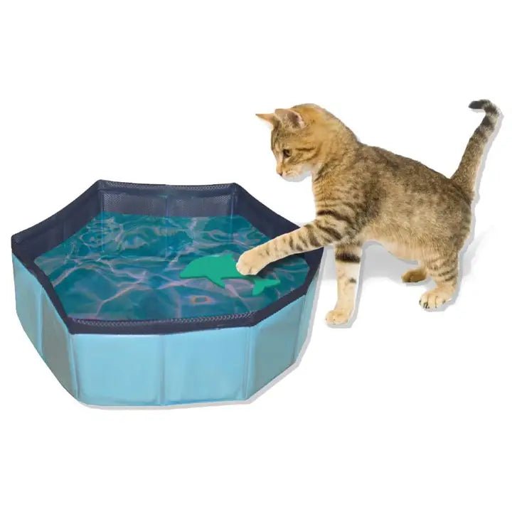 Jeu d’eau pour chat – Piscine pliable avec jouets à pêcher - CROCI - DOG DéliCAT