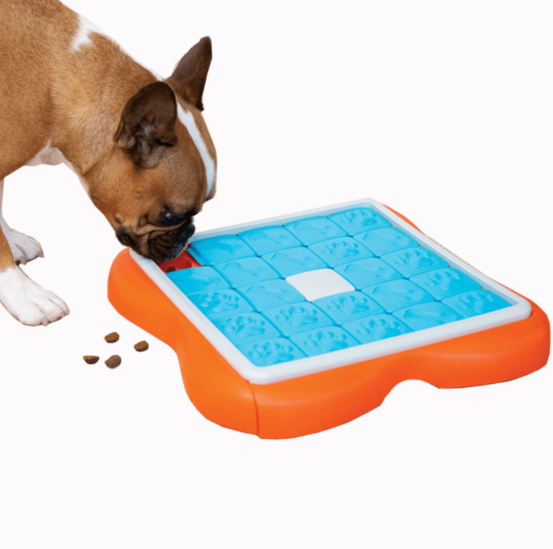 Jeu d’intelligence pour chien – Challenge Slider niveau 3 - NINA OTTOSSON - DOG DéliCAT