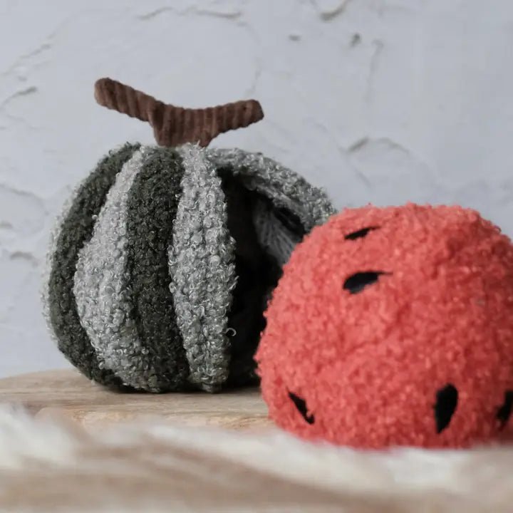 Jeu d’Occupation et de Fouille pour Chien – Balle Pastèque 🍉 - LAMBWOLF - DOG DéliCAT