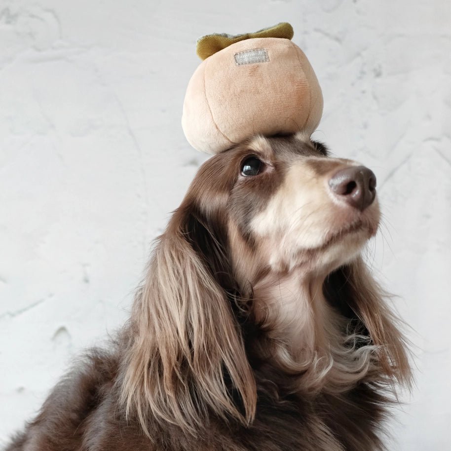 Jeu d'Occupation et de Fouille pour Chien - Kaki - LAMBWOLF - DOG DéliCAT