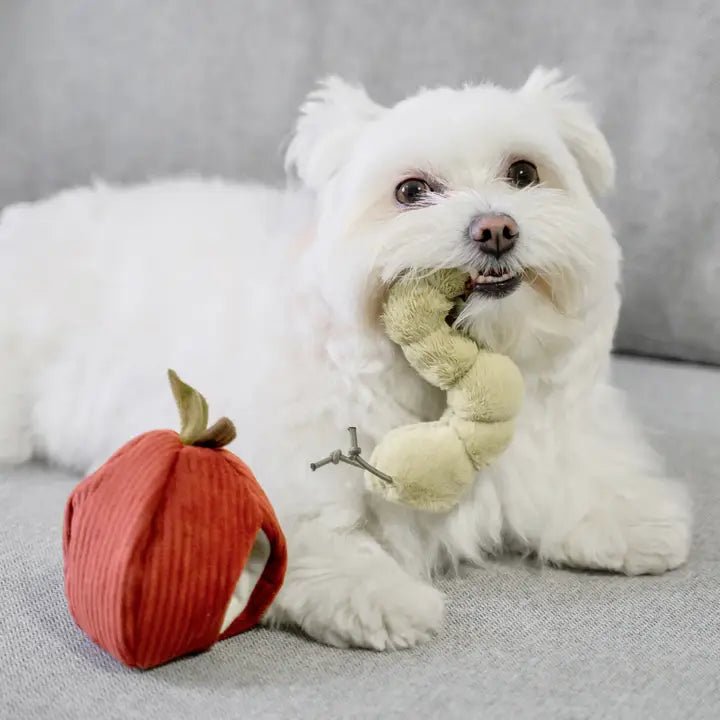 Jeu d'Occupation pour Chien - Pomme et vers de terre 🍎 - LAMBWOLF - DOG DéliCAT