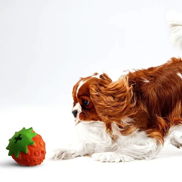 Jeu pour chiens Croci - Fraise en Caoutchouc Naturel - CROCI - DOG DéliCAT