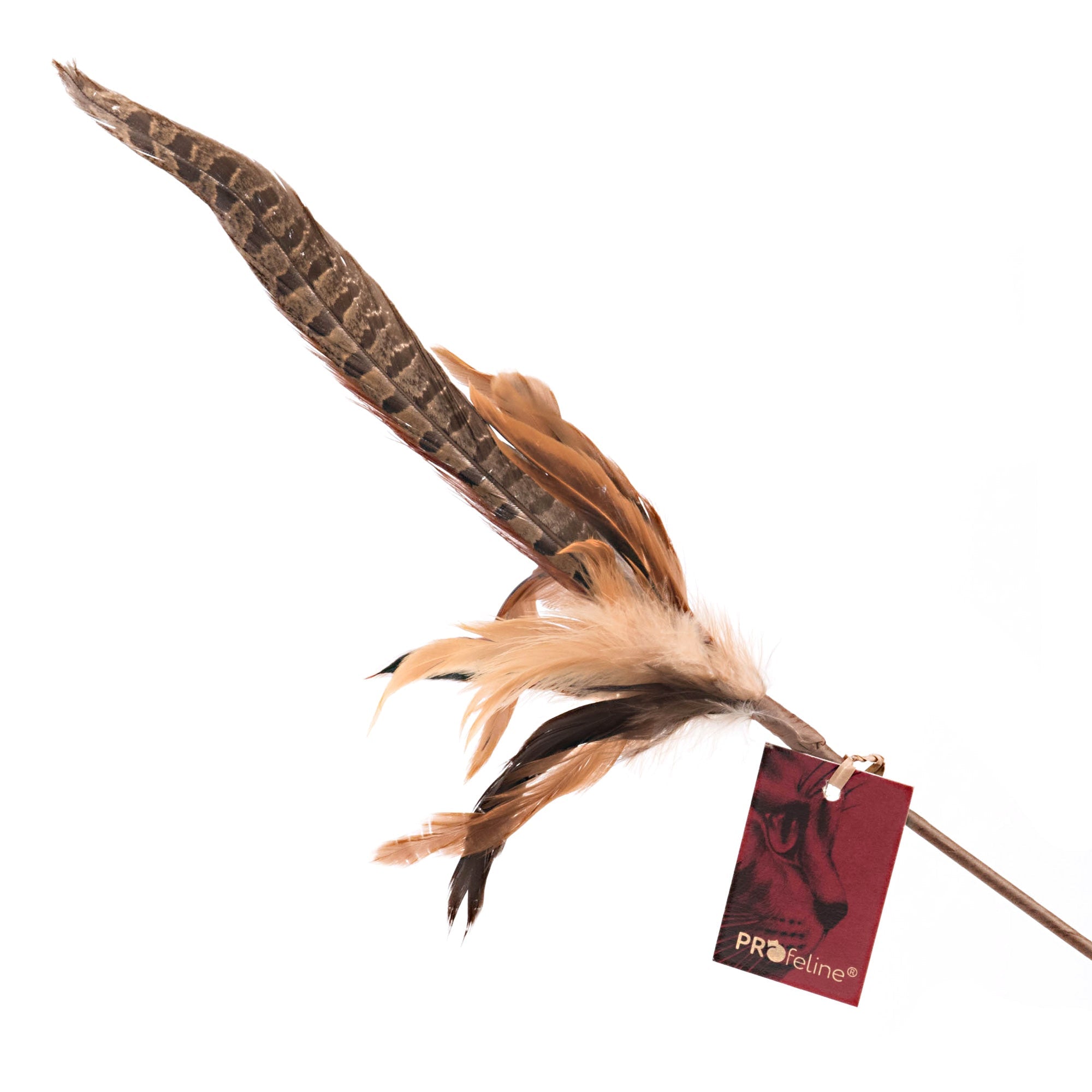 Jouet canne pour chat avec plume de faisan naturelle - PROFELINE - DOG DéliCAT