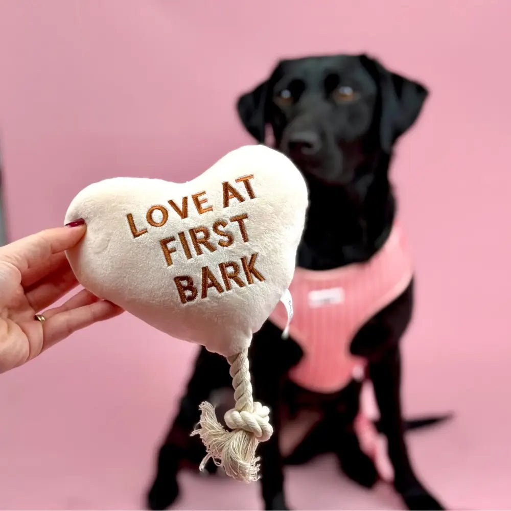 Love at First Bark jouet chien cœur couineur - Cocopup London - Dog Delicat