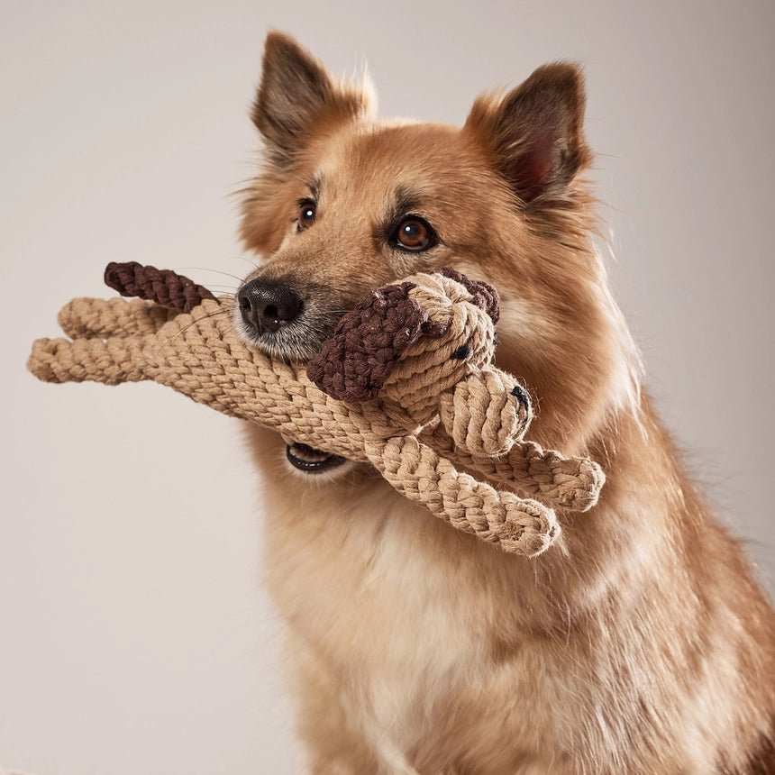 Doggy Dog jouet corde chien XXL - LABONI - DOG DéliCAT