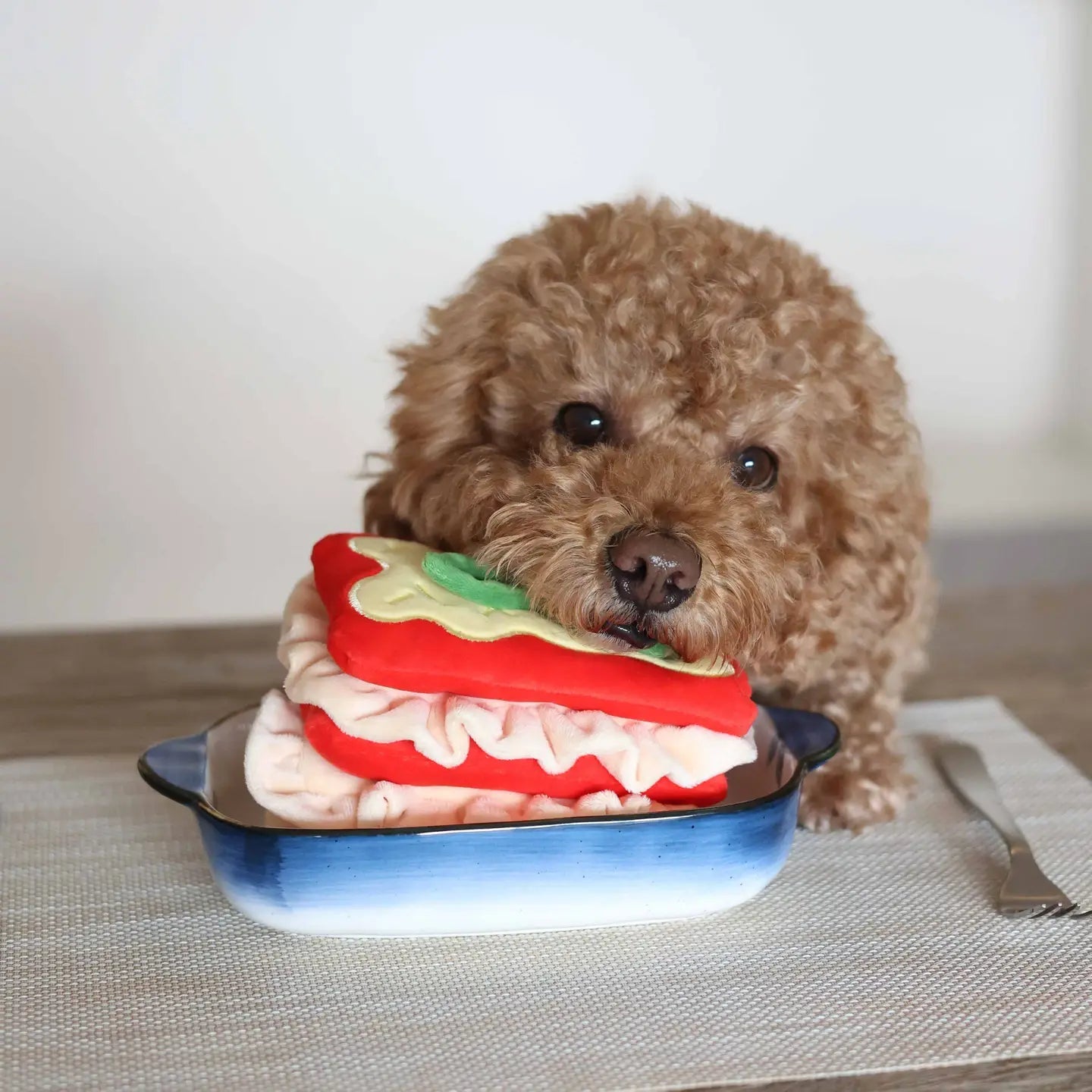 Jeu d’occupation chien cache friandises lasagne