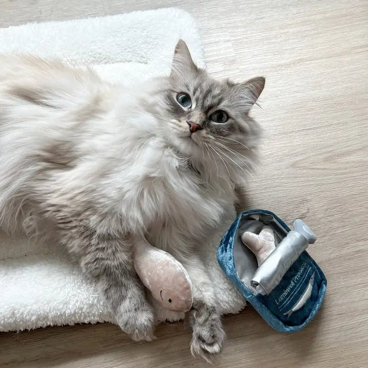 🐟 Jouet de fouille pour chat – Sardines Lambwolf - LAMBWOLF - DOG DéliCAT