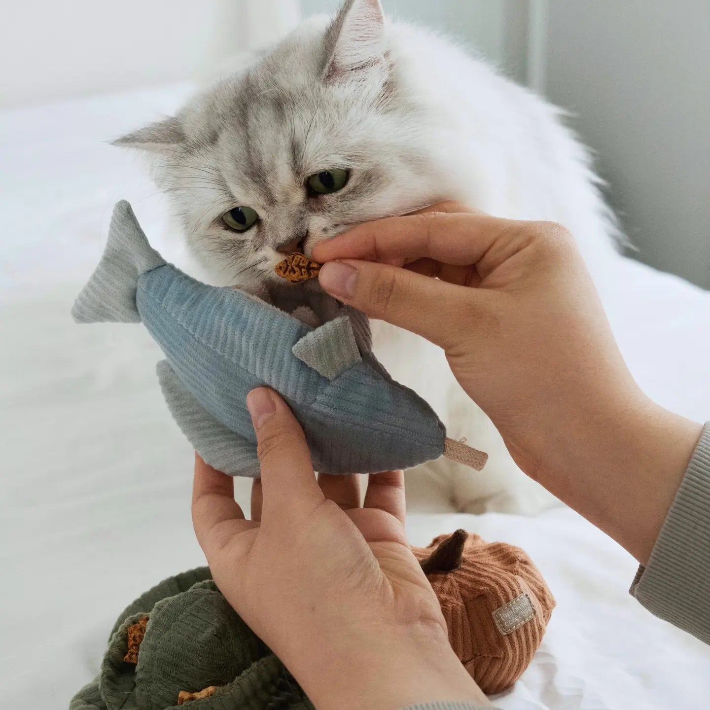 Jouet de Fouille pour Chat – Truite Kitty 🐟 - LAMBWOLF - DOG DéliCAT