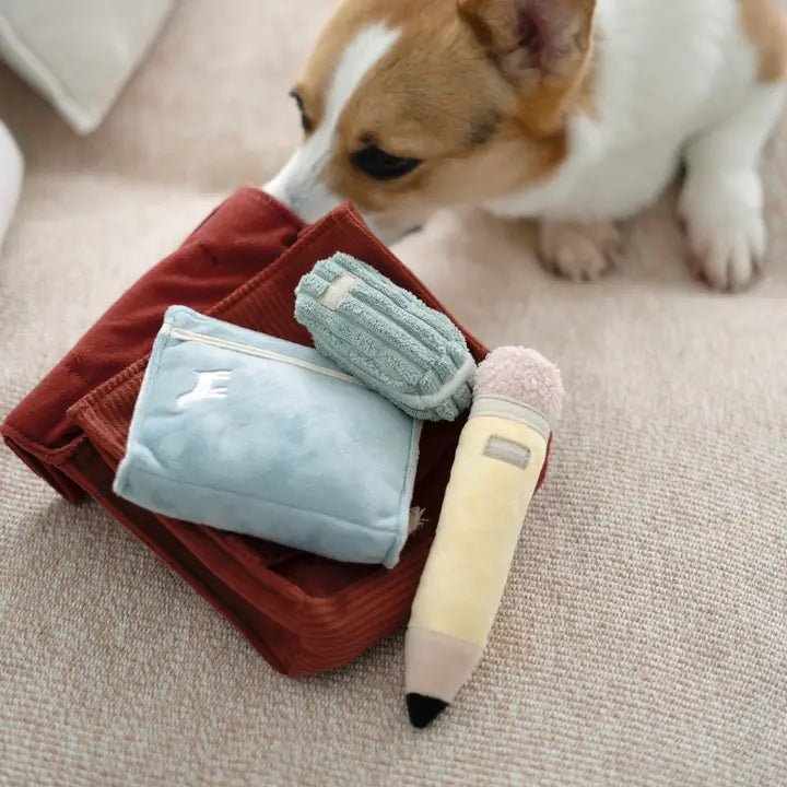 🎒 Jouet de fouille pour chien 2 - en - 1 Back to School – Fun pour la rentrée - LAMBWOLF - DOG DéliCAT