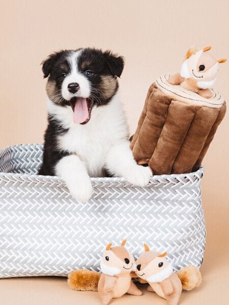 Jouet de fouille pour chien bûche écureuils ZippyPaws – DOG DéliCAT