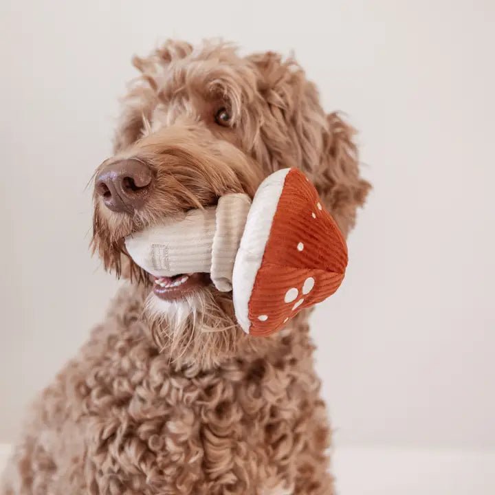 🍄 Jouet de fouille pour chien SHROOM – Champignon - LAMBWOLF - DOG DéliCAT