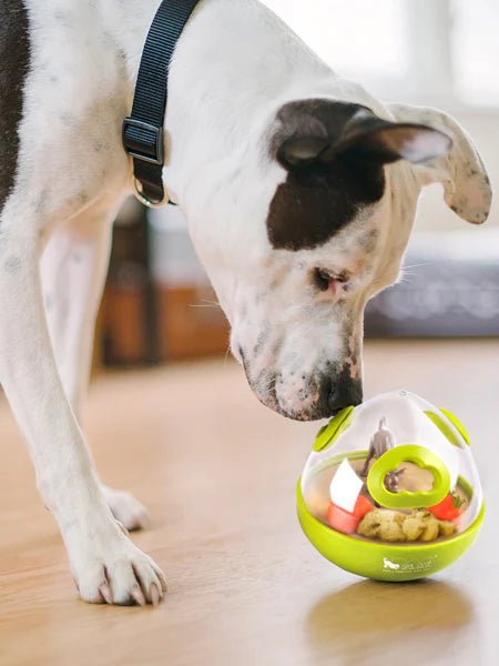 Jouet distributeur de friandises pour chien Wobble Ball Pet PLAY – Pet PLAY – DOG DéliCAT 