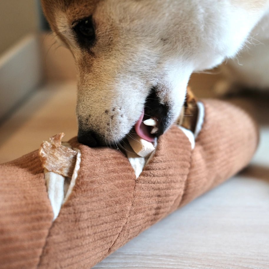 Jouet d'Occupation et de Fouille pour Chien Baguette 🥖 - LAMBWOLF - DOG DéliCAT