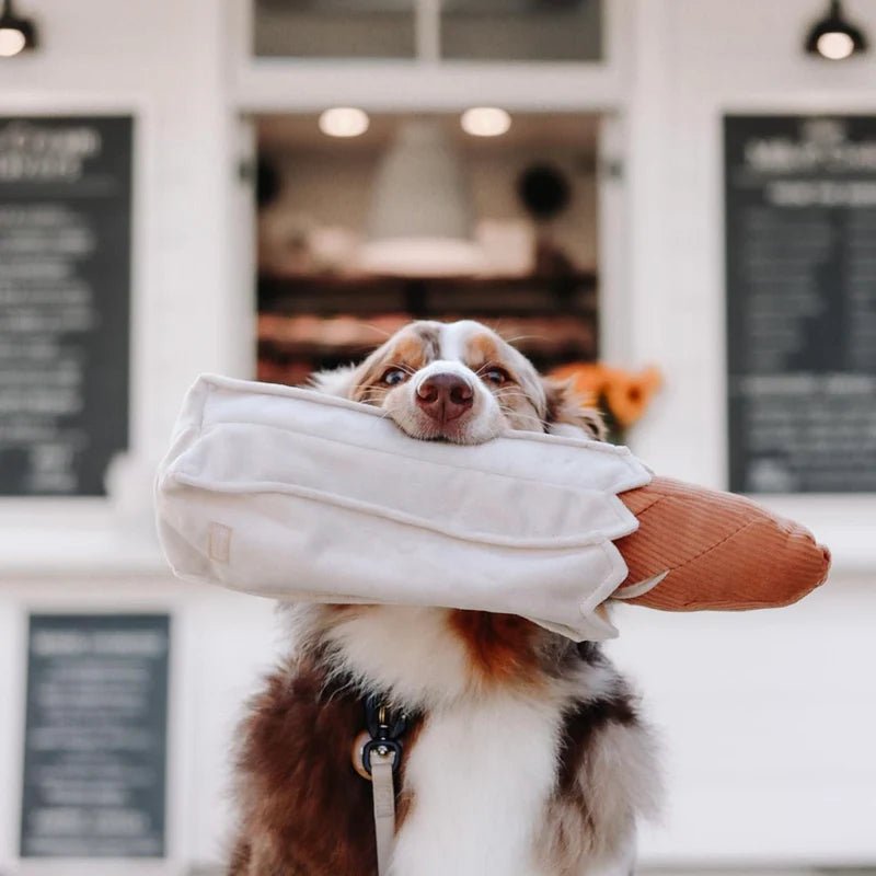 Jouet d'Occupation et de Fouille pour Chien Baguette 🥖 - LAMBWOLF - DOG DéliCAT