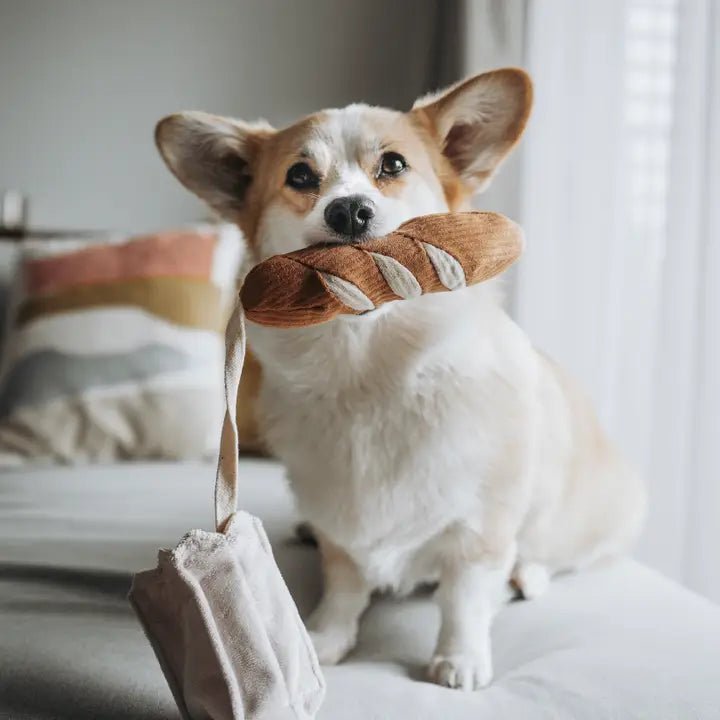 Jouet d'Occupation et de Fouille pour Chien - Mini - Baguette 🥖 - LAMBWOLF - DOG DéliCAT