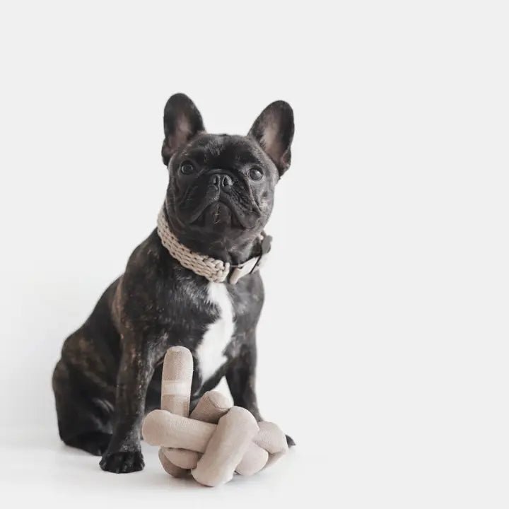 Jouet d'Occupation et de Fouille pour Chien Nounou 🍜 - LAMBWOLF - DOG DéliCAT
