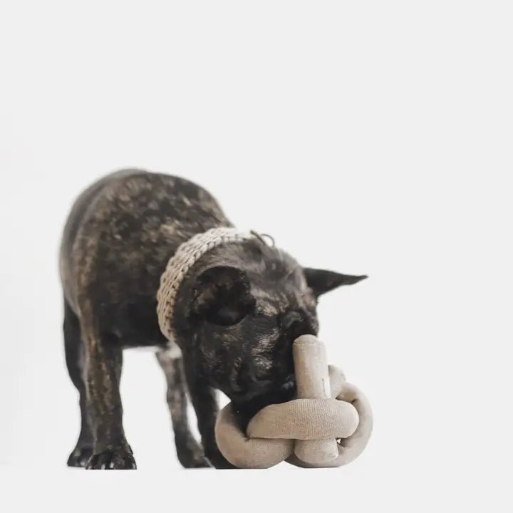 Jouet d'Occupation et de Fouille pour Chien Nounou 🍜 - LAMBWOLF - DOG DéliCAT