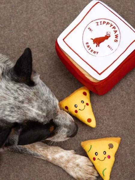 Jouet d’occupation pour chien boîte à pizza Zippy Paws DOG DÉLICAT jouet de fouille chien
