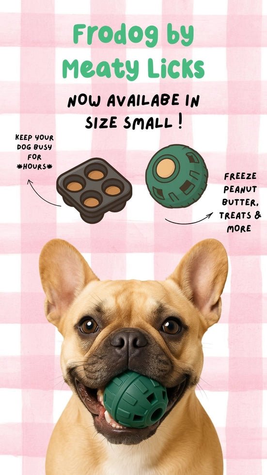 FRODOG Meaty Licks avec chien et bac à glaçons compatible