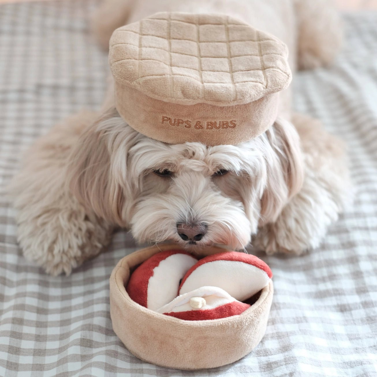 Jouet d’occupation pour chien – Tarte aux Pommes 🍏 Pups & Bub - PUPS & BUBS - DOG DéliCAT