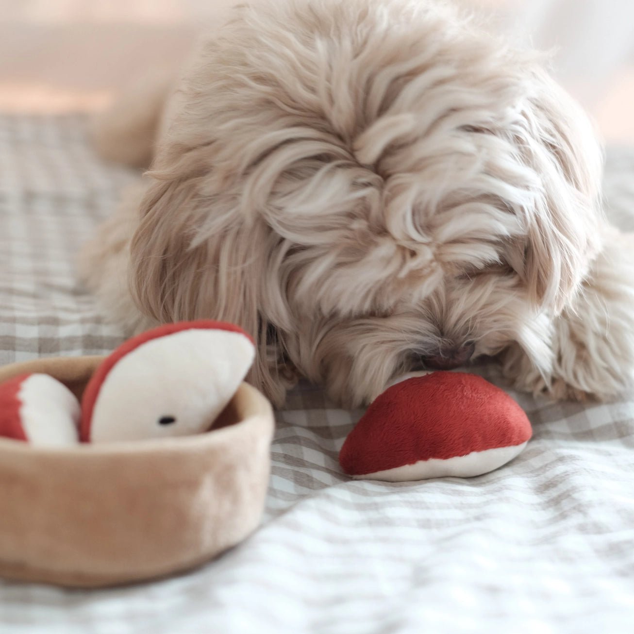 Jouet d’occupation pour chien – Tarte aux Pommes 🍏 Pups & Bub - PUPS & BUBS - DOG DéliCAT