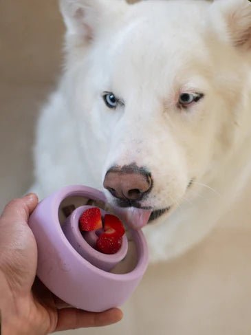 Jouet d'occupation pour chien - Yoomy Wobble Sand - INOOKO - DOG DéliCAT