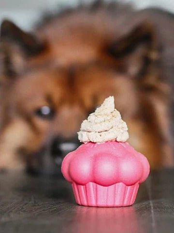 Jouet d’occupation résistant pour chien Cupcake - SODA PUP - DOG DéliCAT