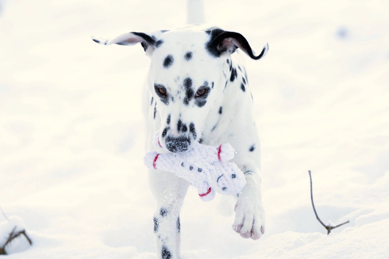 Jouet en corde pour chien de Noël - Shawn le Bonhomme de Neige - LABONI - DOG DéliCAT