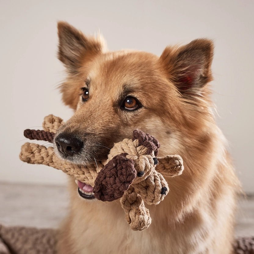 Jouet en corde pour chien Doggy Dog - LABONI - DOG DéliCAT