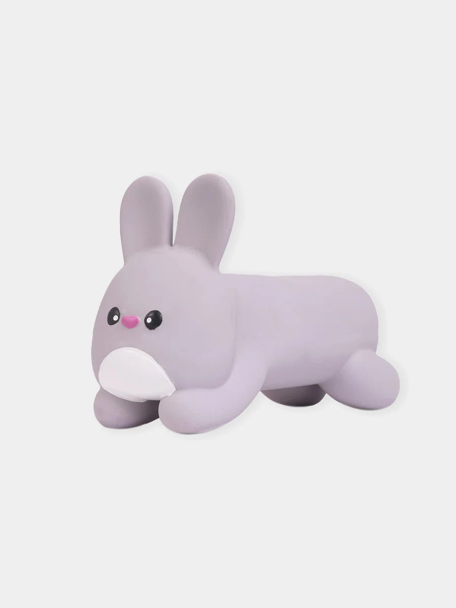 jouet latex pour chien lapin 🐇 HugSmart - DOG DéliCAT