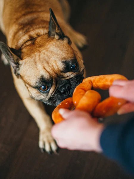 Jouet en peluche écologique pour chien - Bretzel craquant Pet PLAY - PET PLAY - DOG DéliCAT