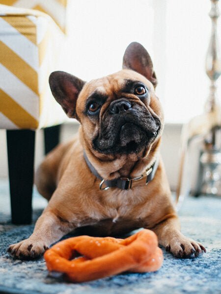 Jouet en peluche écologique pour chien - Bretzel craquant Pet PLAY - PET PLAY - DOG DéliCAT