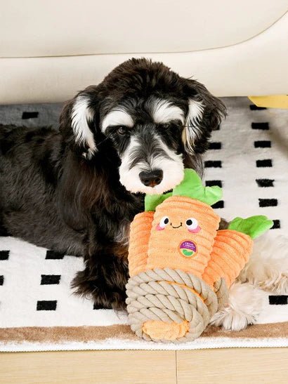 jouet en peluche pour chien avec corde carotte 🥕 HugSmart - DOG DéliCAT