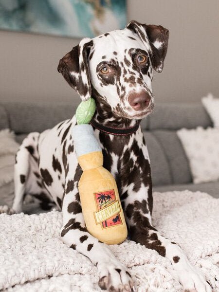 Jouet en Peluche pour Chien – Cerveza Canine Tropical Paradise - PET PLAY - DOG DéliCAT
