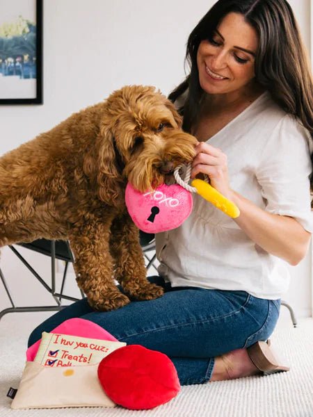 Jouet en peluche pour chien - Love Bug - Cadenas cœur 🔒❤️ - PET PLAY - DOG DéliCAT