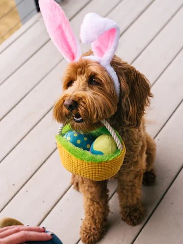 Jouet en Peluche pour Chien - Panier et oeufs - PET PLAY - DOG DéliCAT
