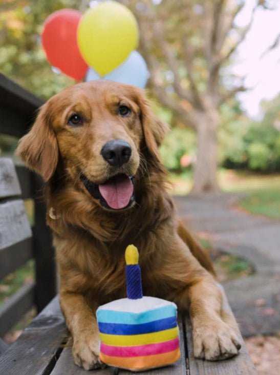 Jouet en peluche pour chien - Party Time - Gâteau d'anniversaire - PET PLAY - DOG DéliCAT