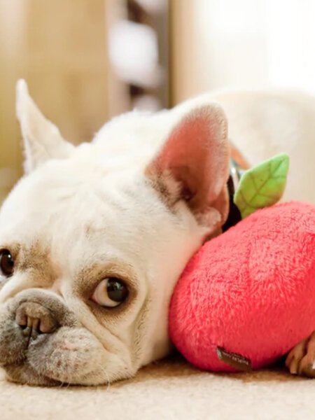 Jouet en peluche pour chien - Pomme - PET PLAY - DOG DéliCAT