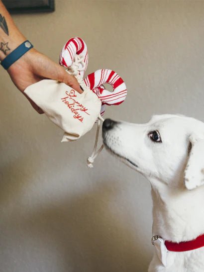 Jouet en Peluche Pour Chien – Sucres d’Orge 🍭 Holiday Classic - PET PLAY - DOG DéliCAT