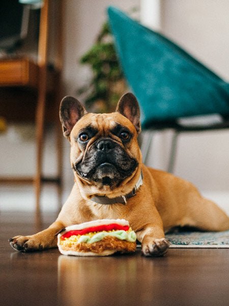 Jouet en peluche pour chien - Tacos de Pet PLAY 3 en 1 - PET PLAY - DOG DéliCAT