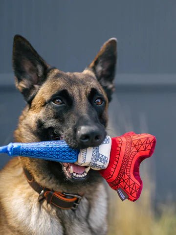Jouet en peluche pour chien - Tour Eiffel🗼 - PET PLAY - DOG DéliCAT
