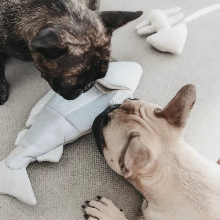 Jouet interactif d'occupation et de fouille pour chien - Truite - LAMBWOLF - DOG DéliCAT
