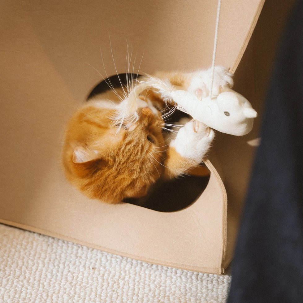 Jouet oiseau pour chat Ecocat en coton biologique avec herbe à chat – DOG DéliCAT