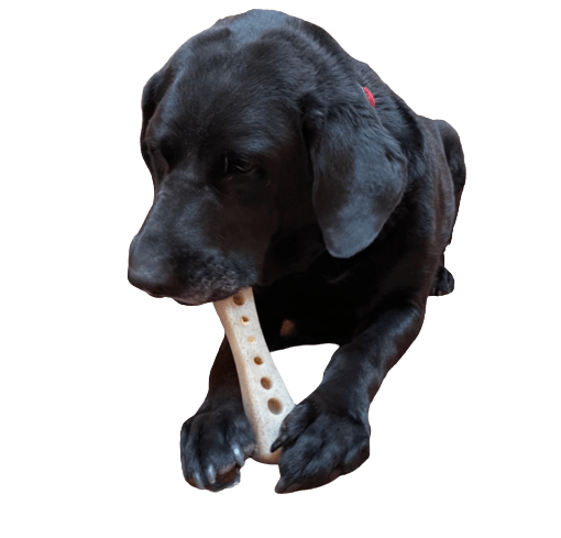 Jouet Os à mâcher pour chien en nylon - SODA PUP - DOG DéliCAT