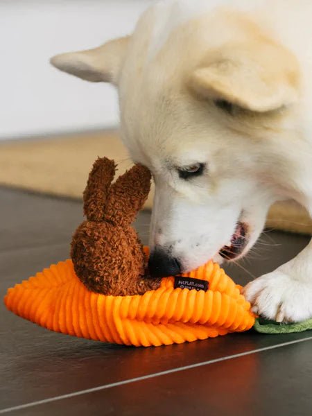 Jouet Peluche pour Chien - Lapins Carotte 🥕 - Pet Play - PET PLAY - DOG DéliCAT