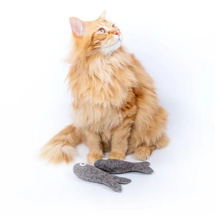 Jouet poisson en feutre pour chat Felix – Mimi's Daughters – DOG DéliCAT