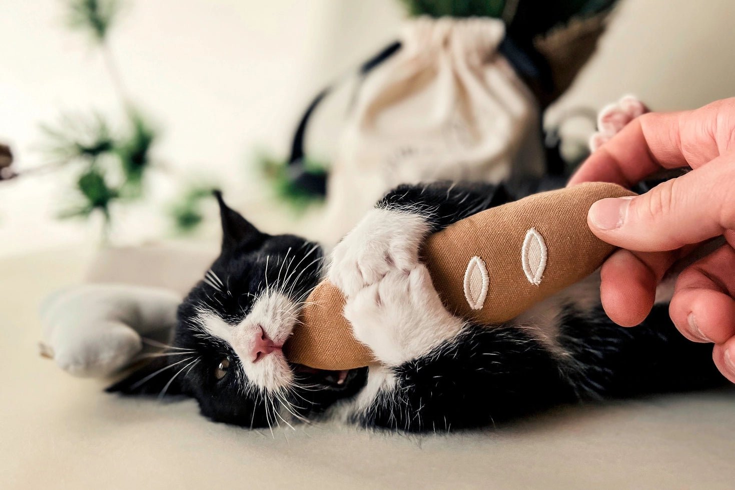 Jouet pour chat Baguette chaude Ecocat en coton avec herbe à chat – DOG DéliCAT